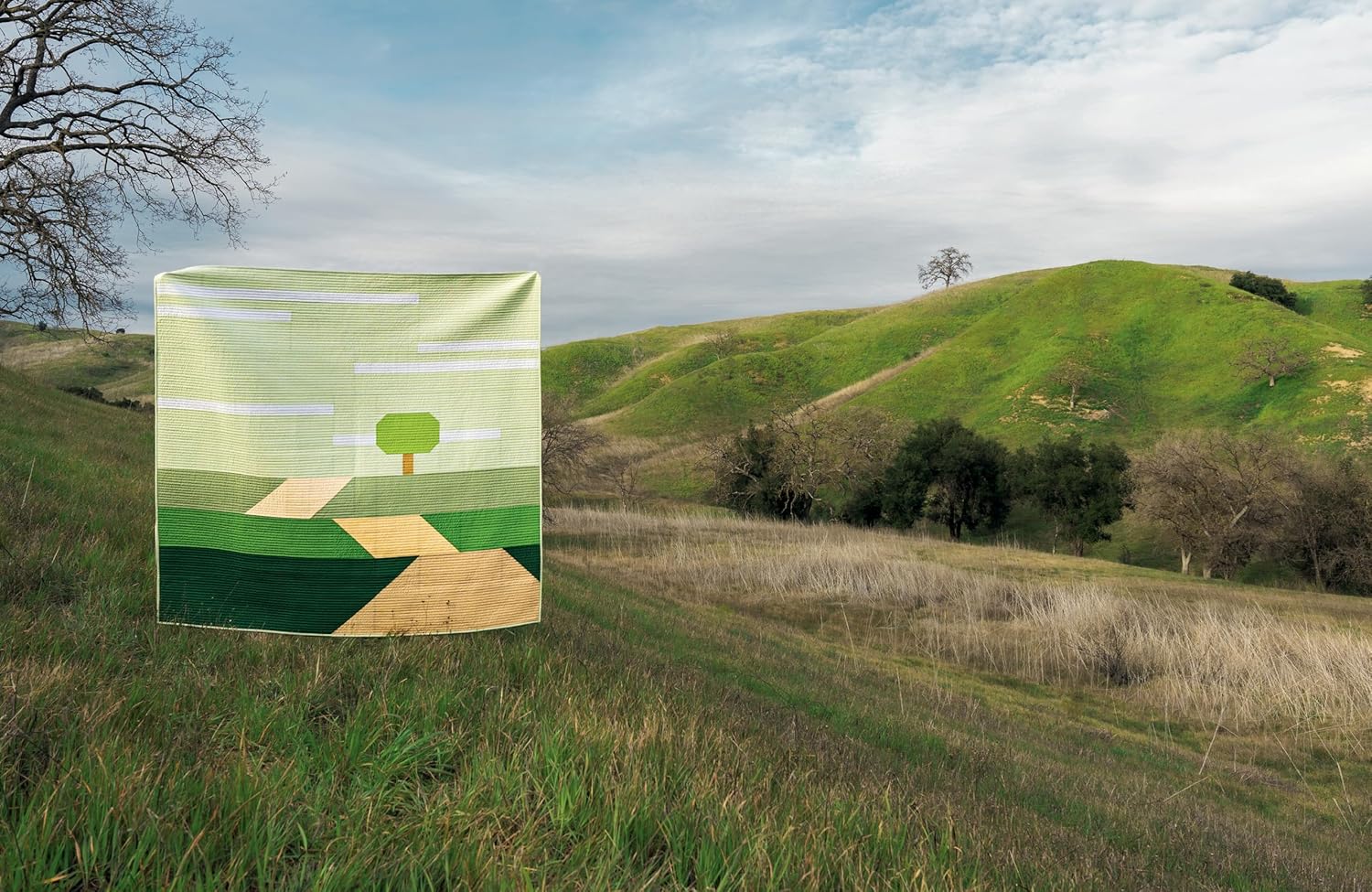 Modern Landscape Quilts: 14 quilt projects inspired by the great outdoors - Image 6