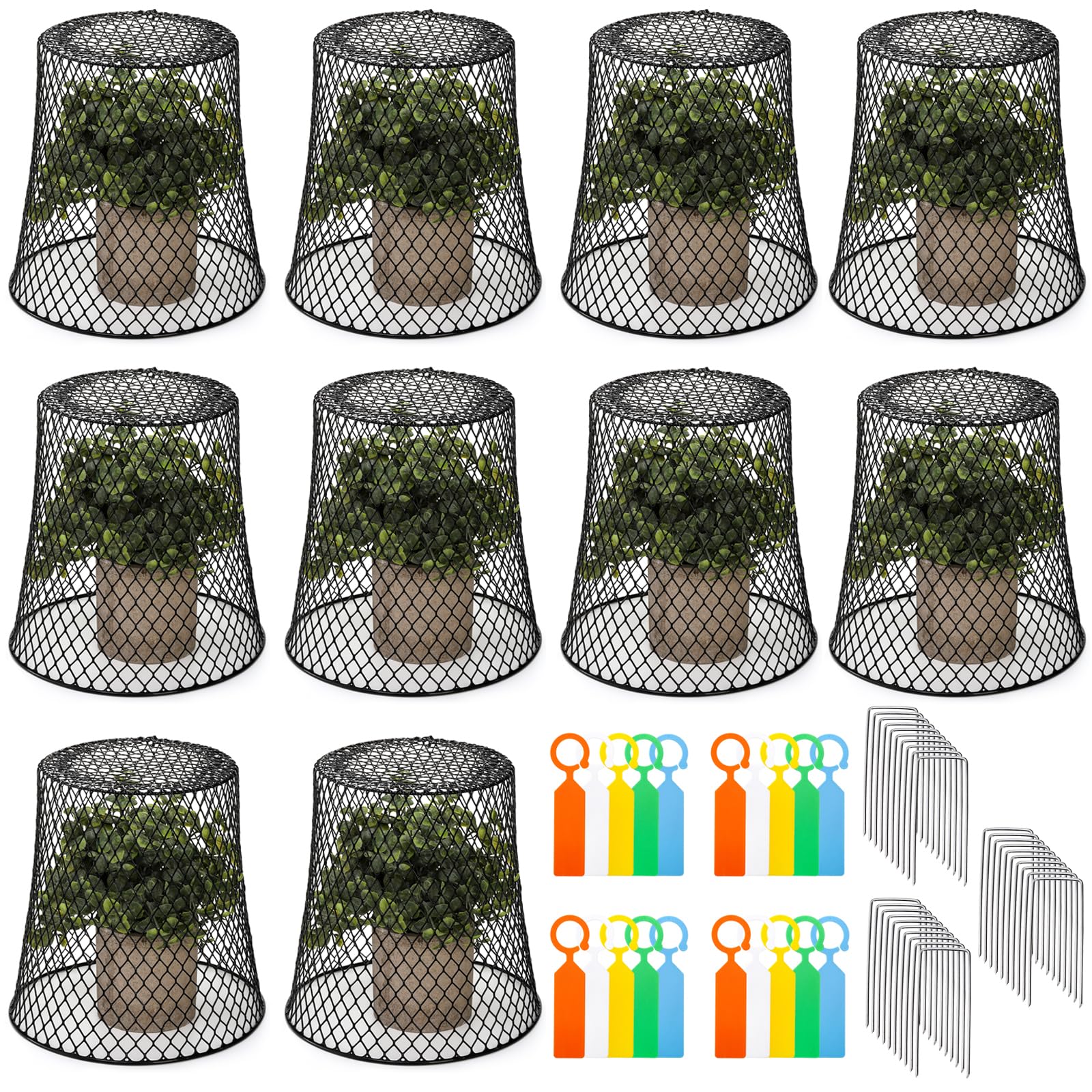 Couvertures de plantes en fil de fer avec piquets et étiquettes étanches