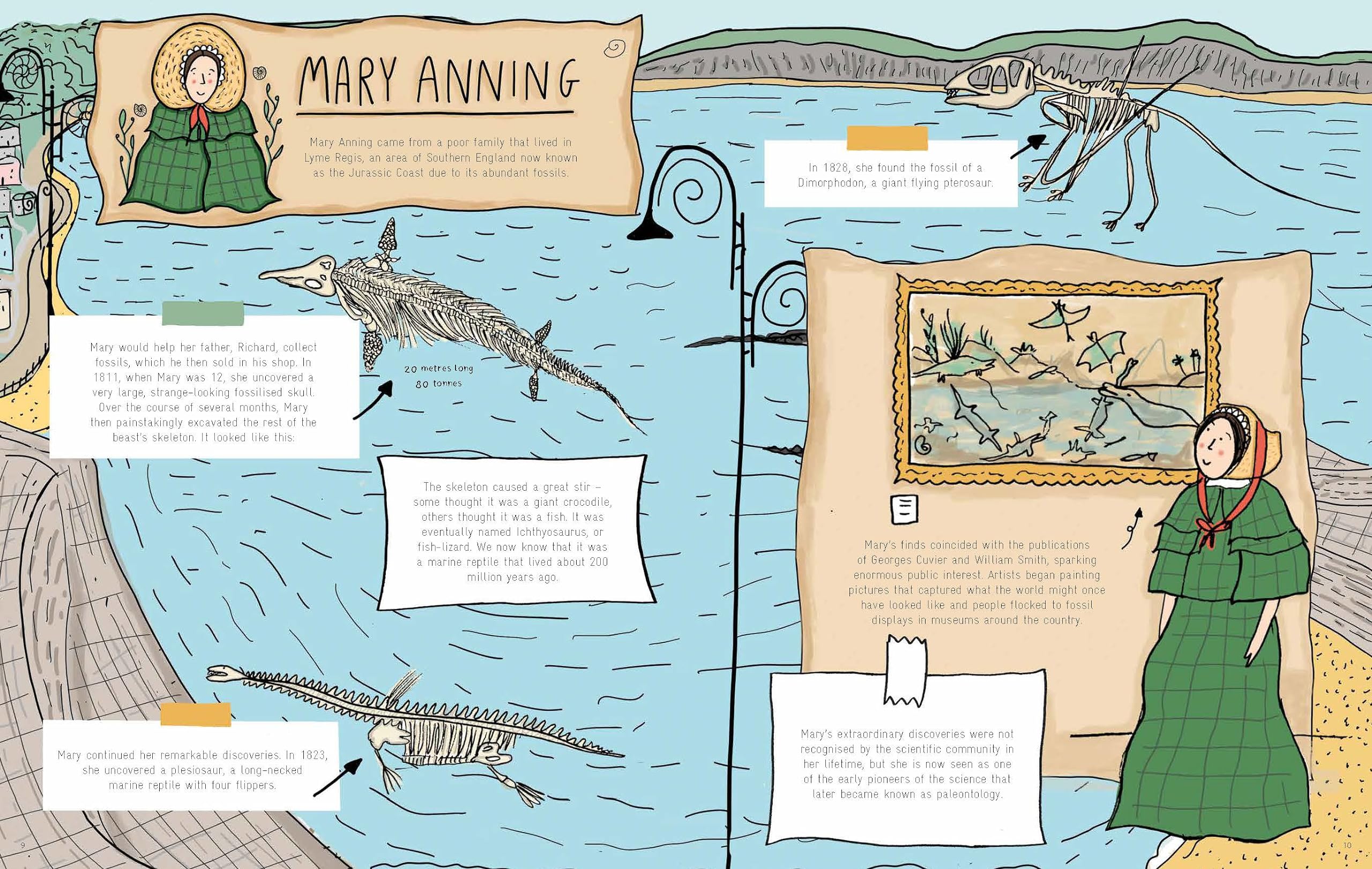 Stones and Bones: Fossils and the stories they tell