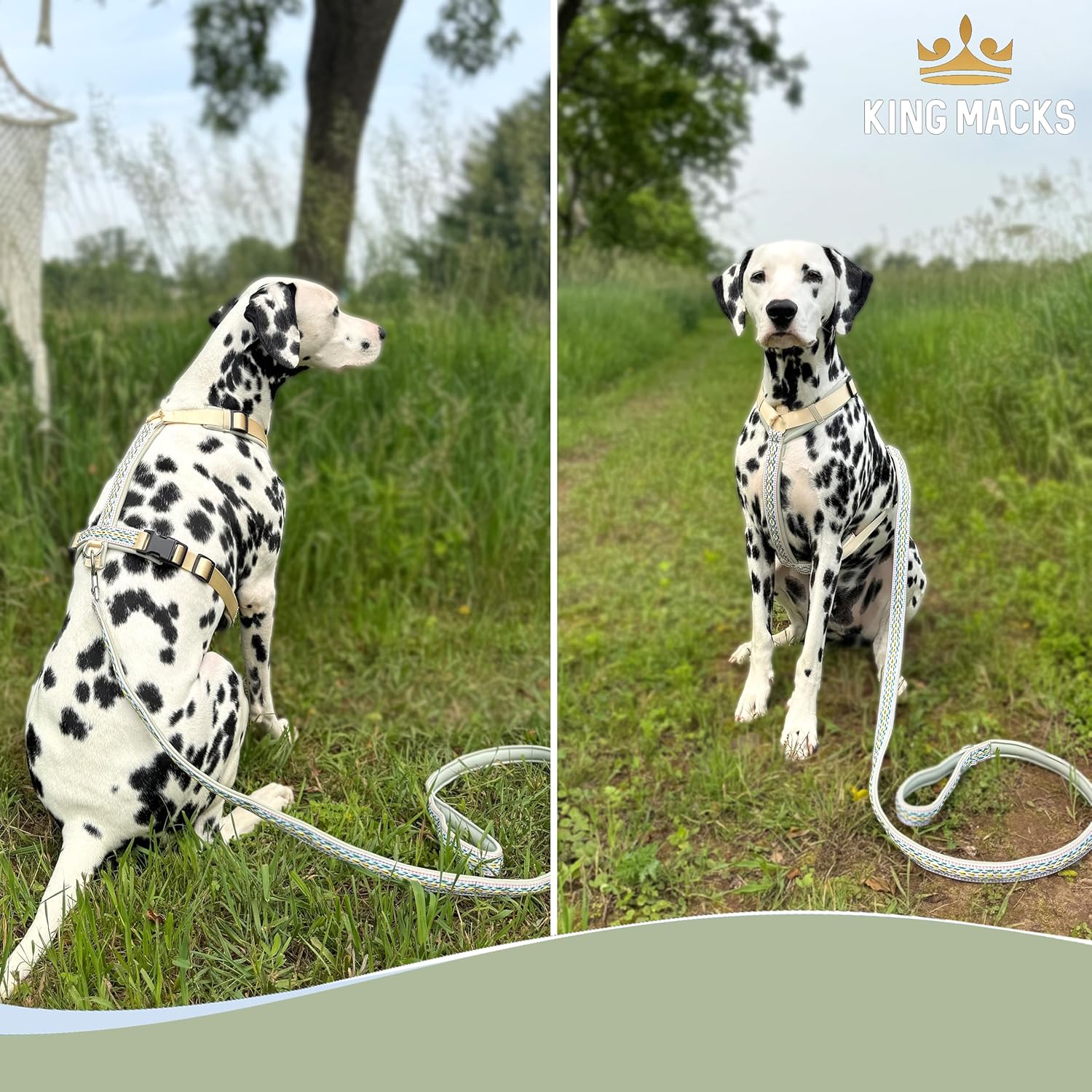 King Macks Dog Harness and Leash, Ajustable Small to Extra Large Dog Harness No-Pull, Cute Boho Tribal Western Print, Y Shape Comfortable (Green, Small)