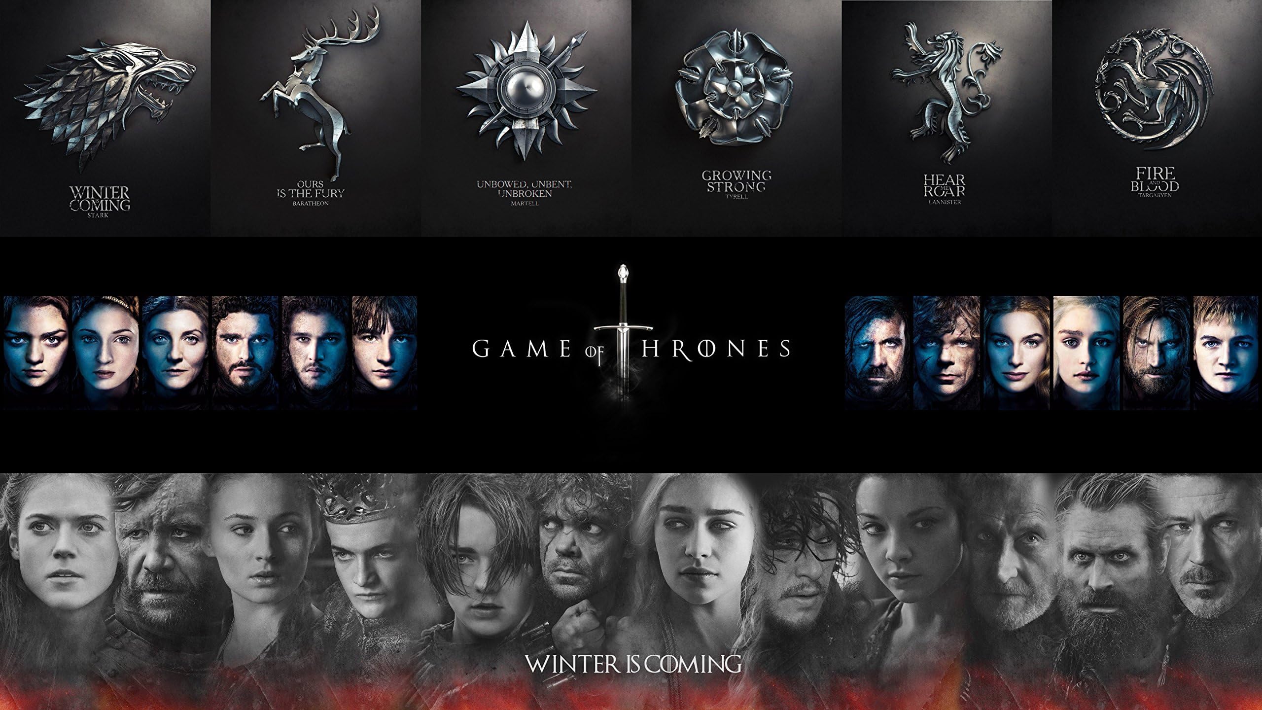 28" x 16" Game of Thrones Poster Character Poster with GoT Houses