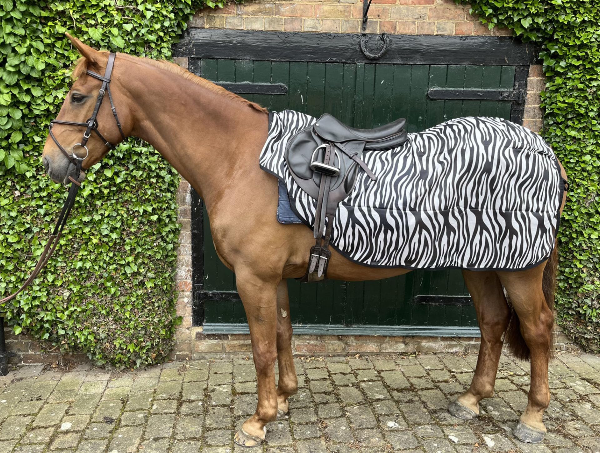 Ruggles Ride On Mesh Fly Exercise Sheet for Horse and Pony lightweight, breathable fly protection (Zebra Print, Large) - Image 2