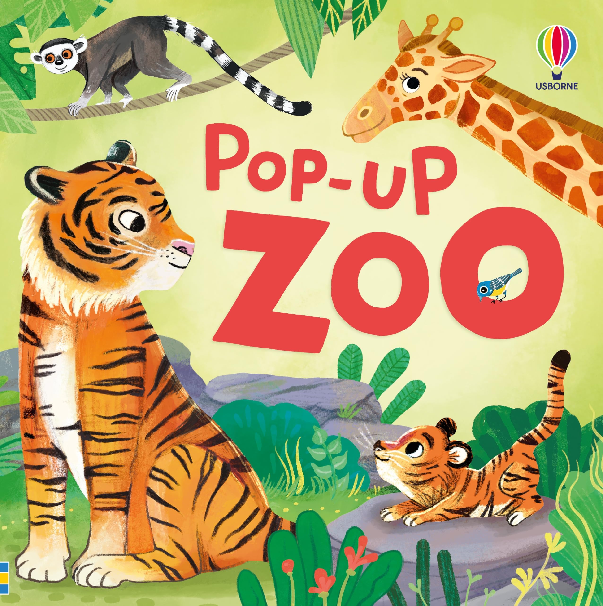 Pop-up Zoo by Micaela Tapsell (Board book)