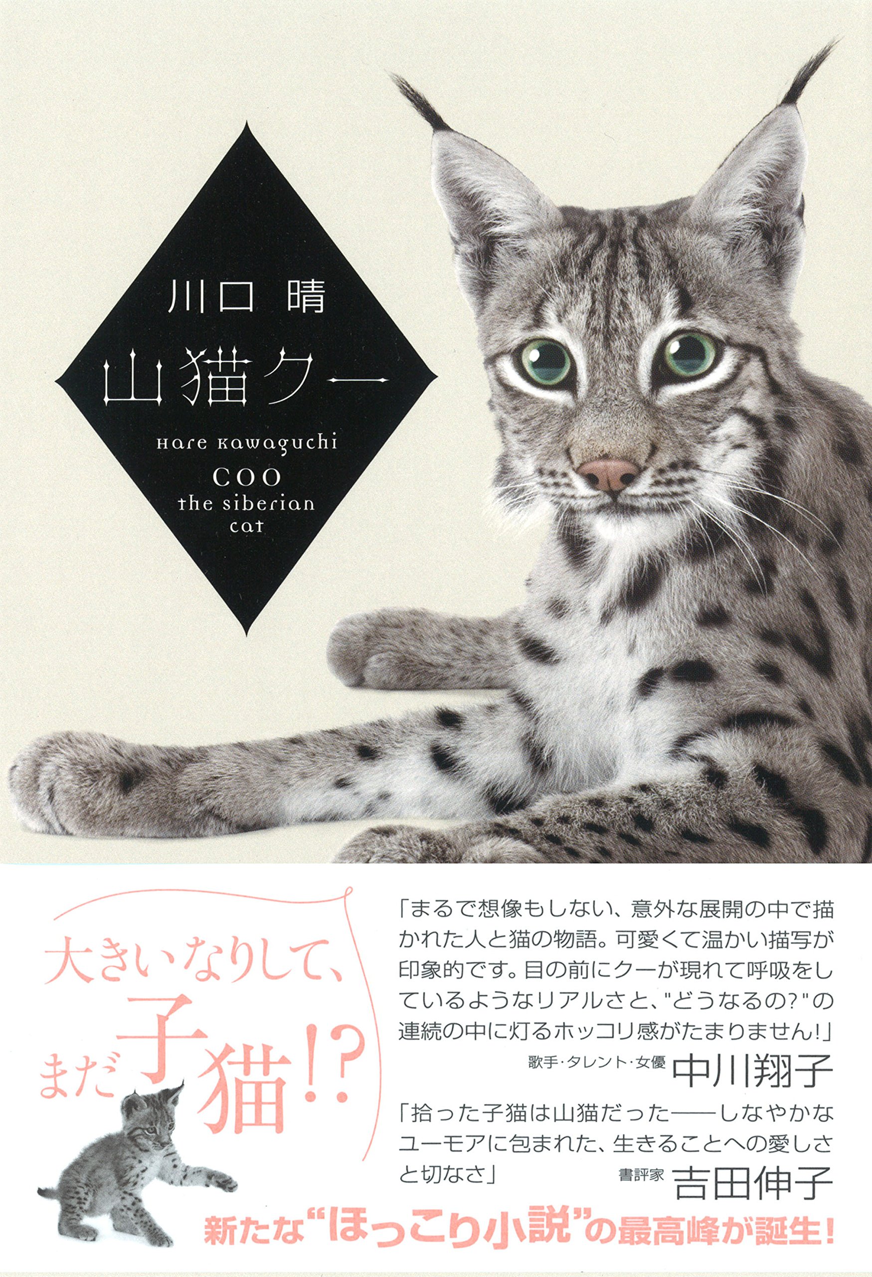 山猫クー 川口晴 本 通販 Amazon