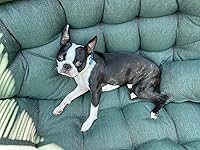 Review Image by C.TIBBS C.TIBBS