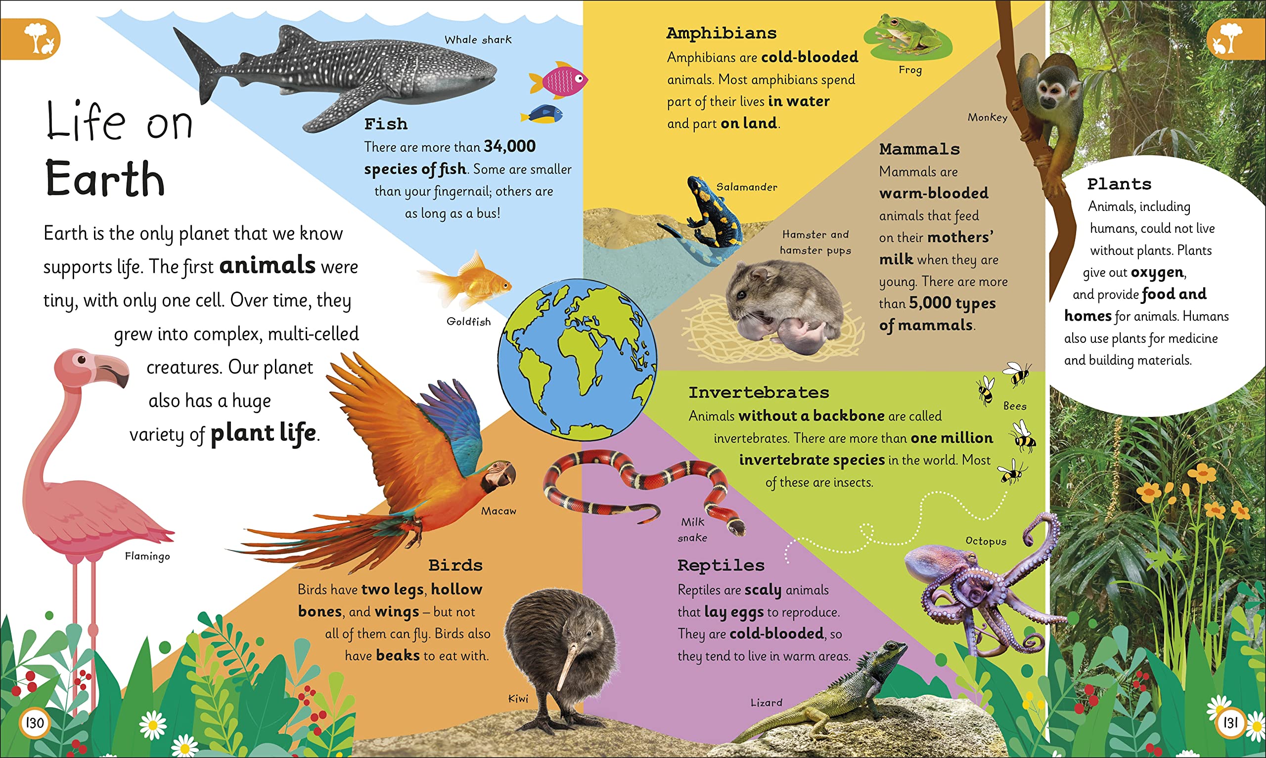 My Very Important Earth Encyclopedia: For Little Learners Who Want to Know About Our Planet