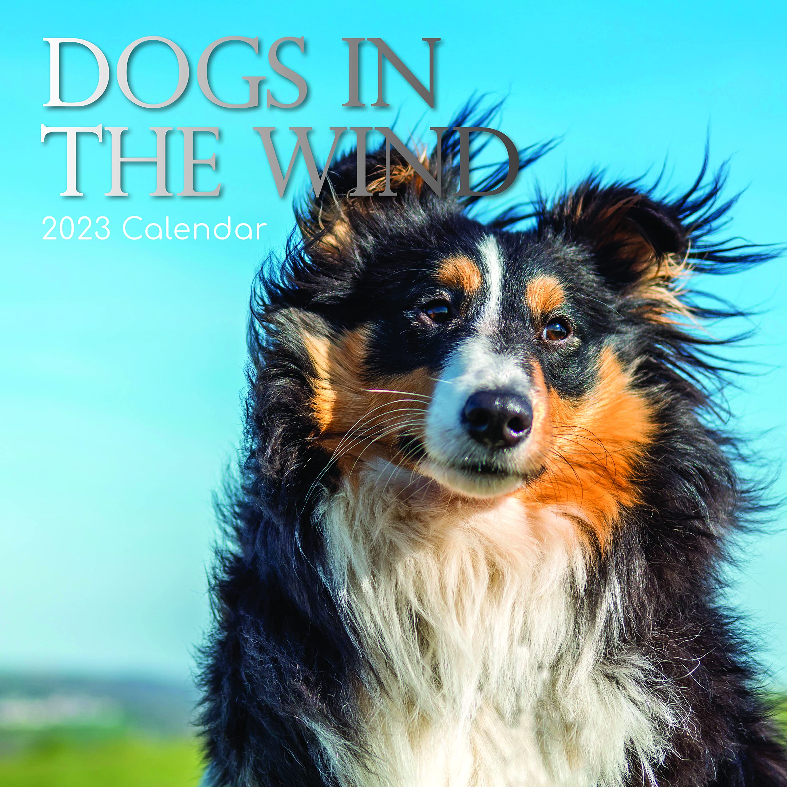 Photo 1 of 2023 Square Wall Calendar, Dogs in the Wind, 16-Month Humor Theme with 180 Reminder Stickers (12 x 12 In)