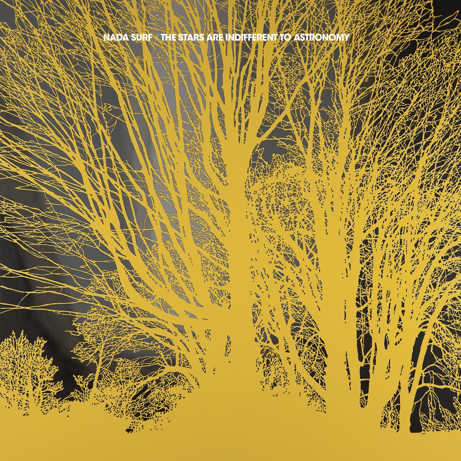 Stars Are Indifferent To Astronomy [Audio CD] NADA SURF