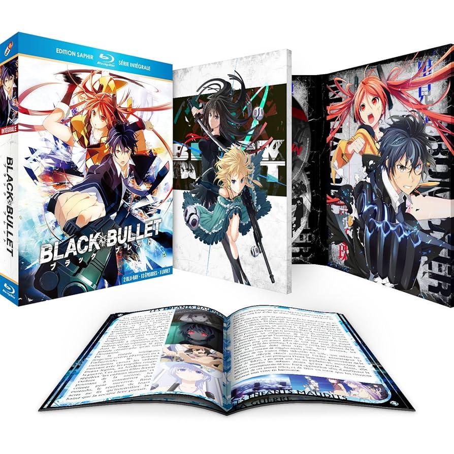 Black Bullet　Blu-ray全巻収納BOX付き Coffret intégrale Black Bullet [Blu-Ray]: DVD et Blu-ray