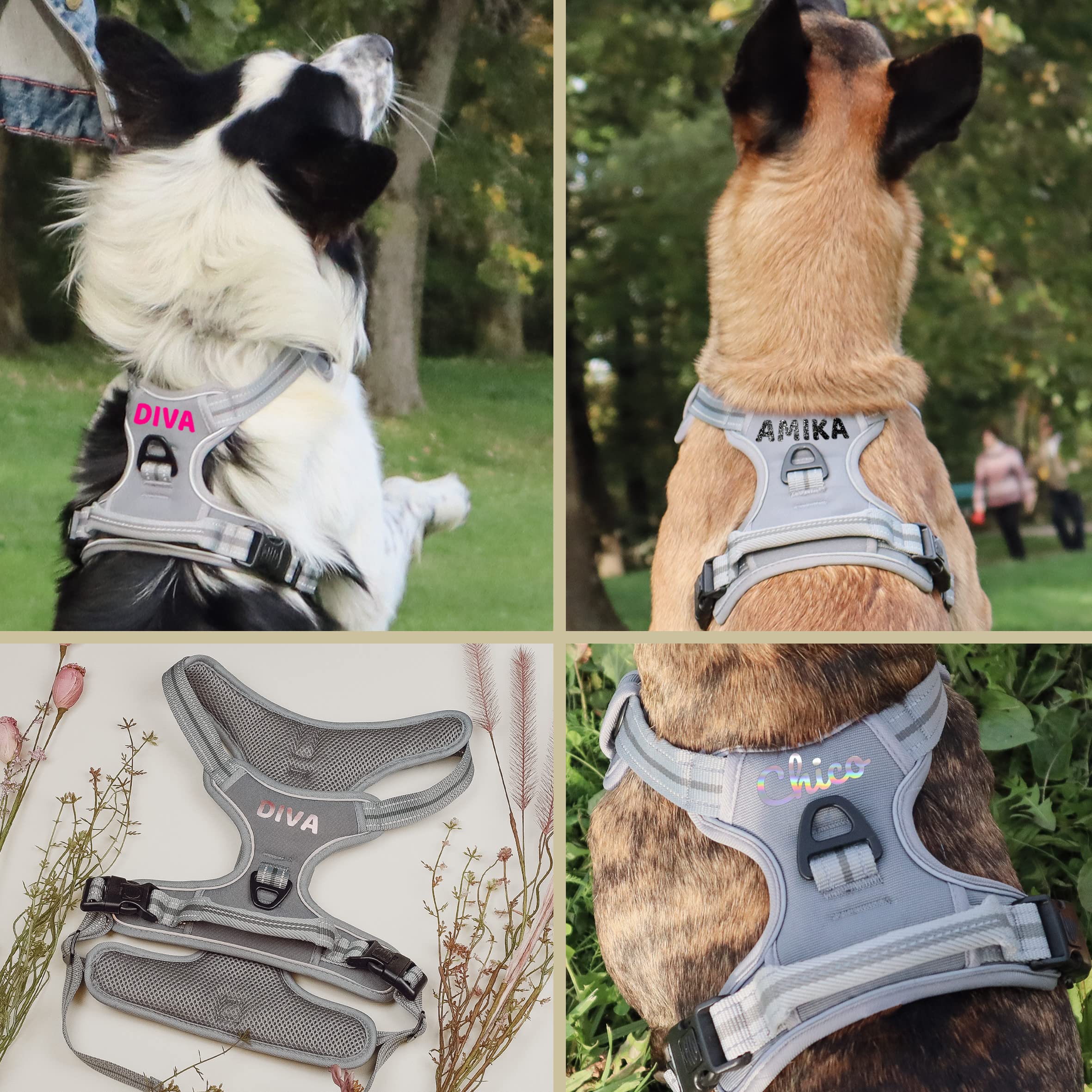ne&no® Hundegeschirr PERSONALISIERT mit passenden Ruckdämpfer [Developed by NE&NO] Hunde Geschirrset | Brustgeschirr für kleine und große Hunde | Geschirr Hund | (XL)