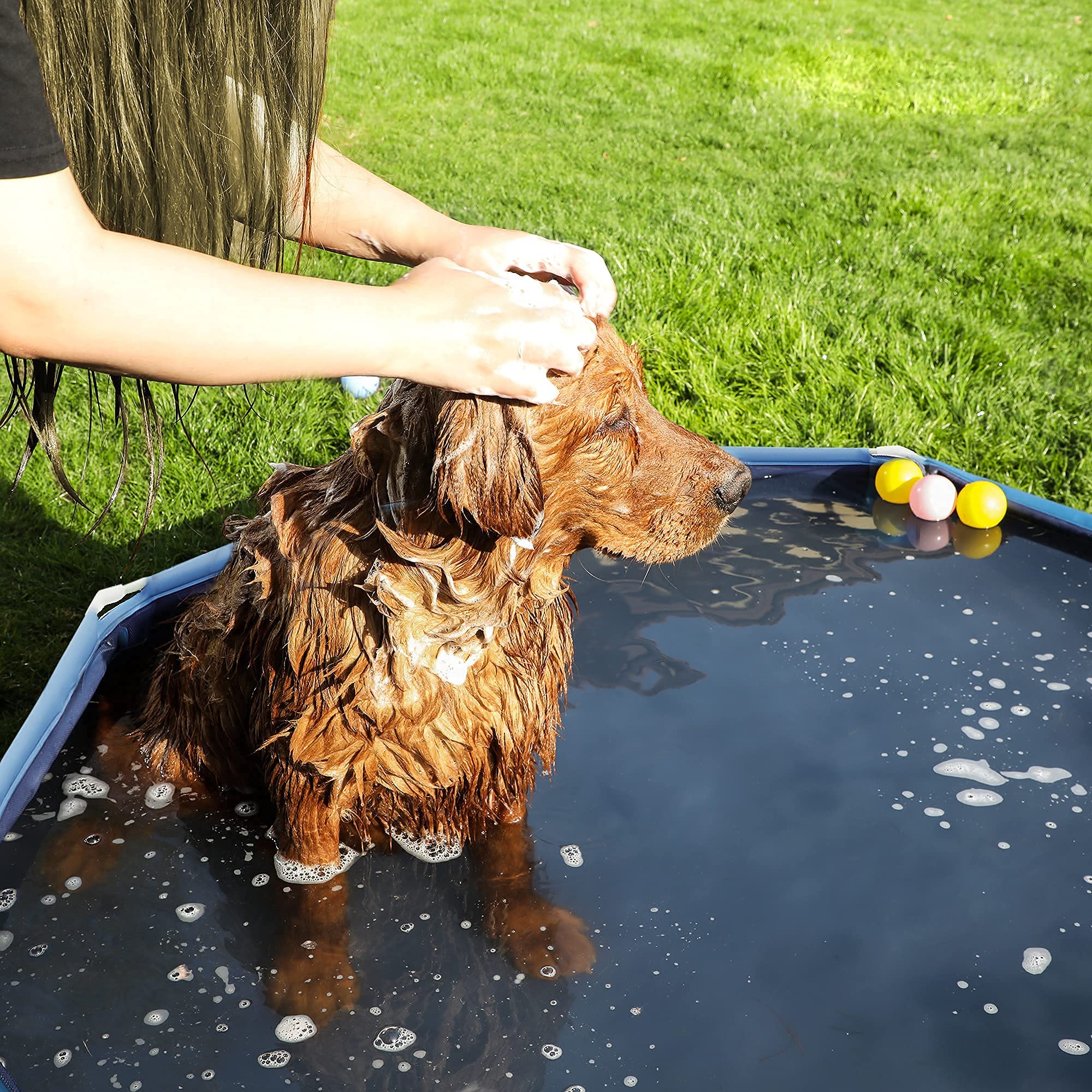 Feandrea Piscine pour Chien, Baignoire Animaux, Bassin Jeux, Bleu PDP003Q01