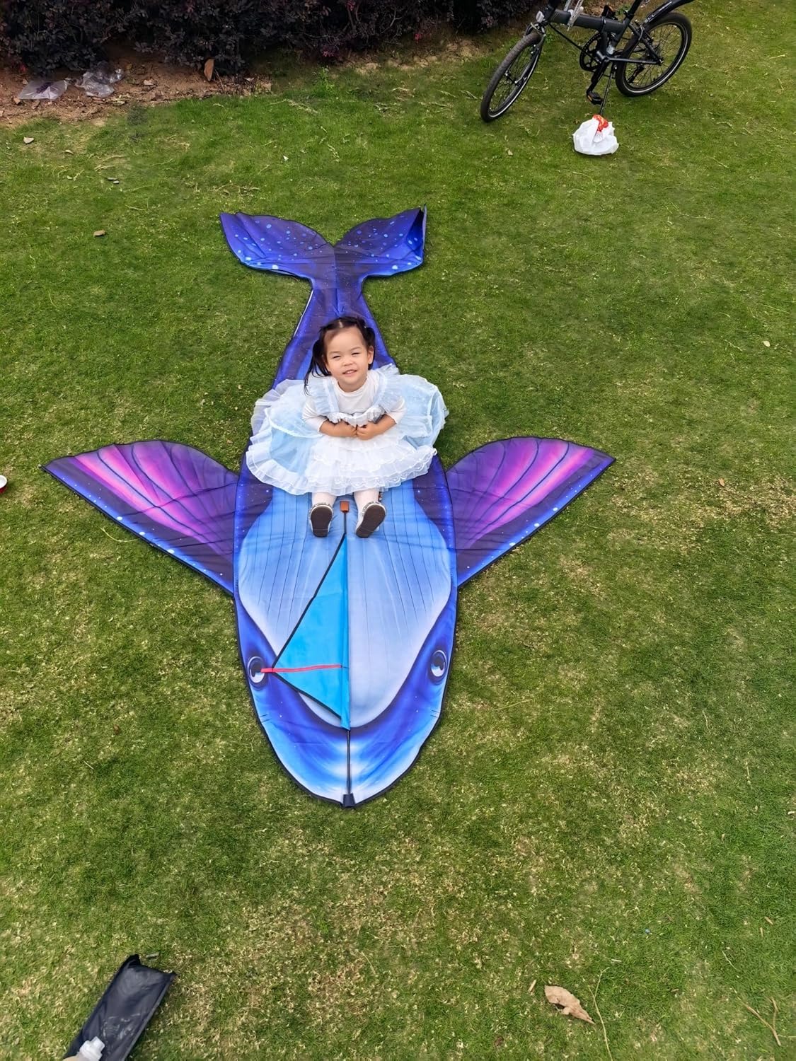 Giant Whale Kite for Adults and Kids, 9.51ft×6.40ft, Easy to Fly Large Beach Park Lawn Kites for Outdoor Games and Activities