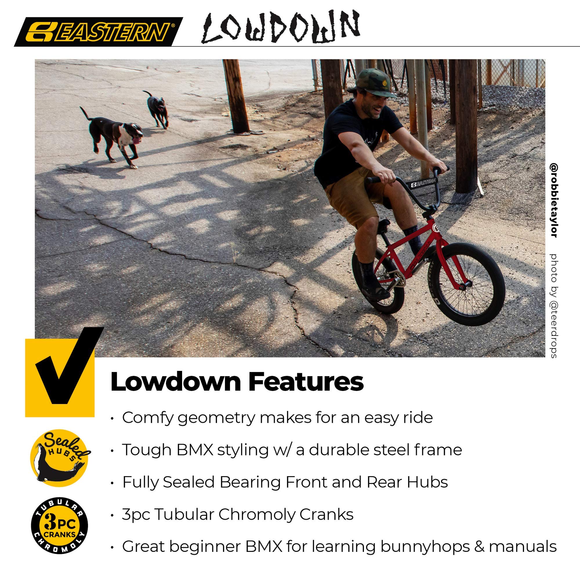 Amazon | Eastern Bikes Eastern BMX Bikes - ローダウンモデル20
