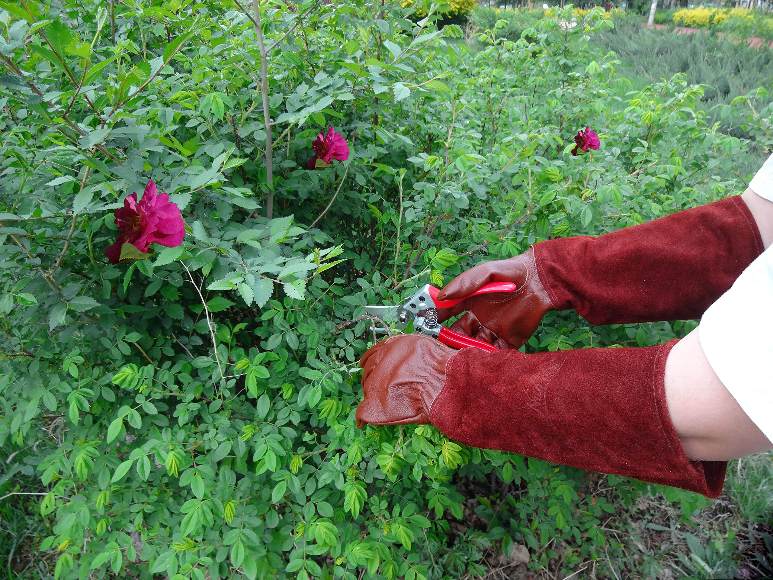 Gartenhandschuhe aus Leder für Damen und Herren | dorn- und schnittfeste Gartenarbeitshandschuhe mit langer robuster Stulpe | geeignet für Dornsträucher Kakteen Rose, braun, Small