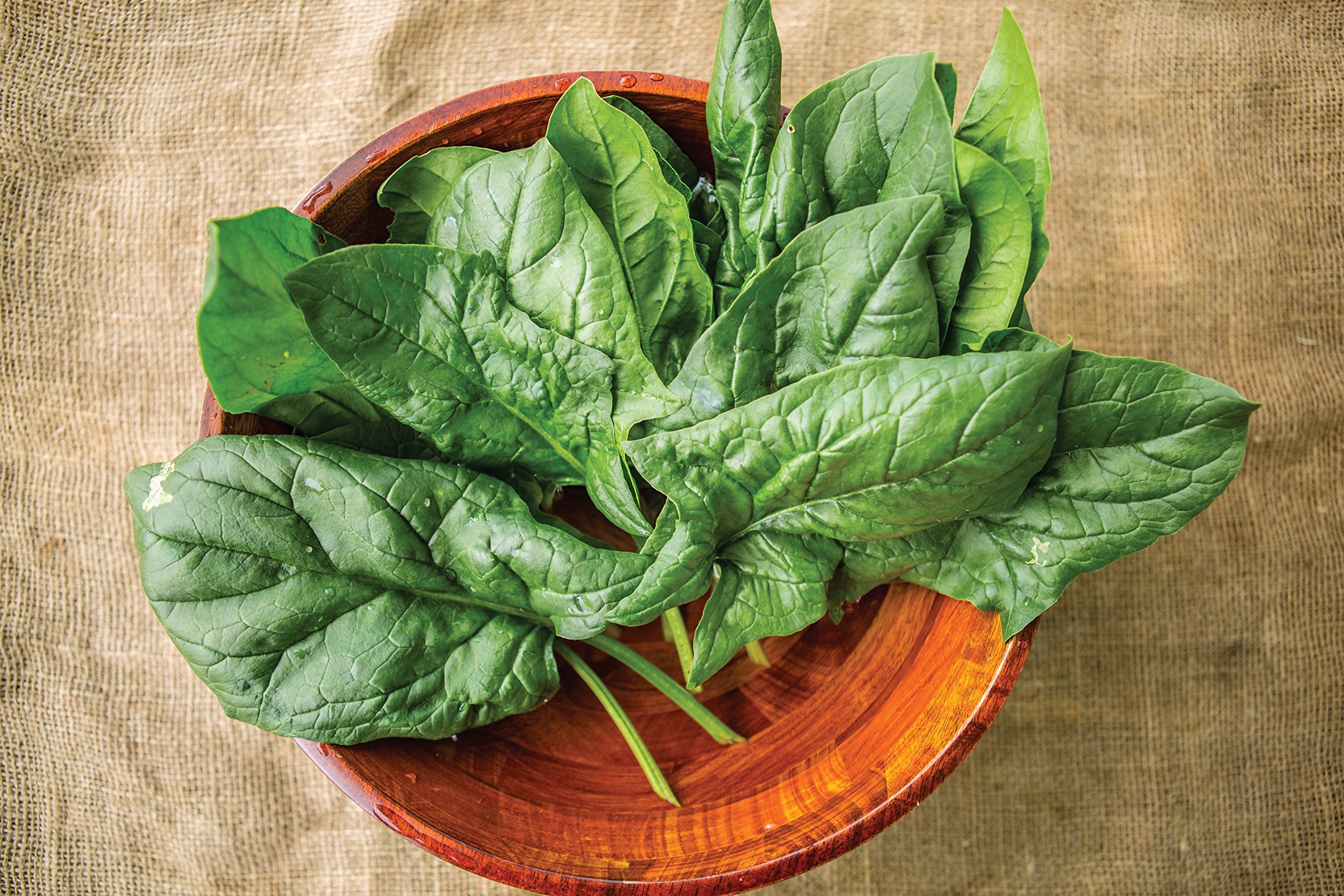 Amazon.com : Burpee A La Carte Hybrid Spinach Seeds 300