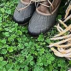 Micro Clover Seed for Lawn - 1 Lb - ~400,000 Microclover Seeds for Planting - Drought-Tolerant Mini Grass Alternative by Mountain Valley Seed Company