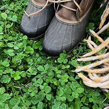 Micro Clover Seed for Lawn - 4 Oz - 100,000 Microclover Seeds for Planting - Drought-Tolerant Mini Grass Alternative by Mountain Valley Seed Company