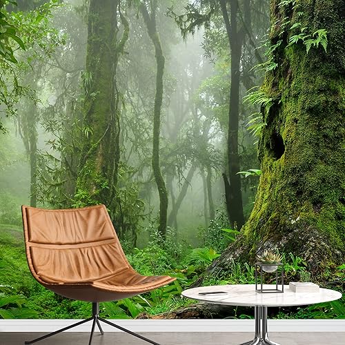wall26 Adhesivo mural removible para pared, niebla brumosa, bosque tropical, vista de árbol, naturaleza, desierto, fotografía, realismo, paisaje