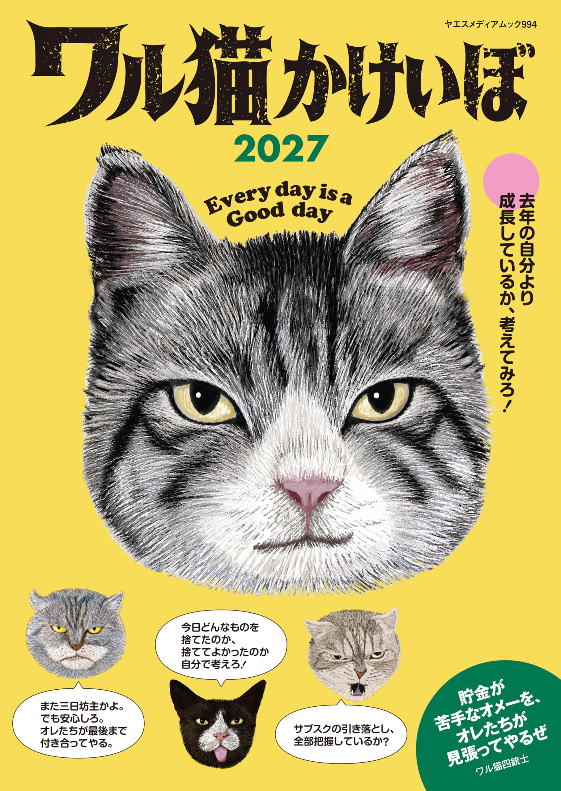 ヤマカワ　猫 Amazon.co.jp: ワル猫かけいぼ2027 (ヤエスメディアムック994) : ワル