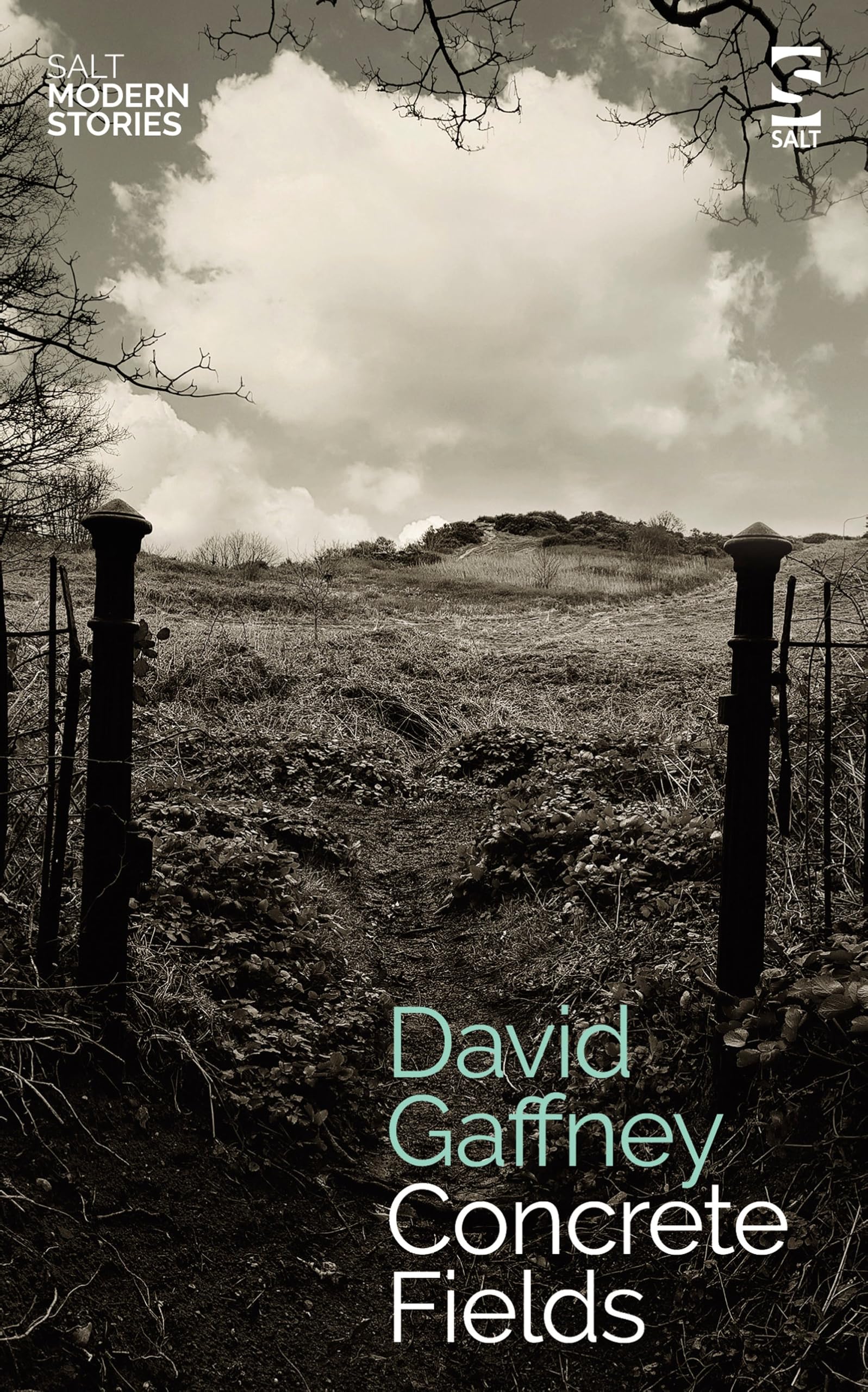 Concrete Fields (Salt Modern Stories)