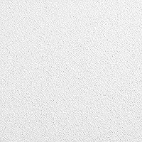 Vista 6 de Armstrong Azulejos de techo; Azulejos de techo 2x2 - 12 piezas blancas; Techos acústicos para rejilla suspendida; Ultima Lay-in & TEGULAR 1912