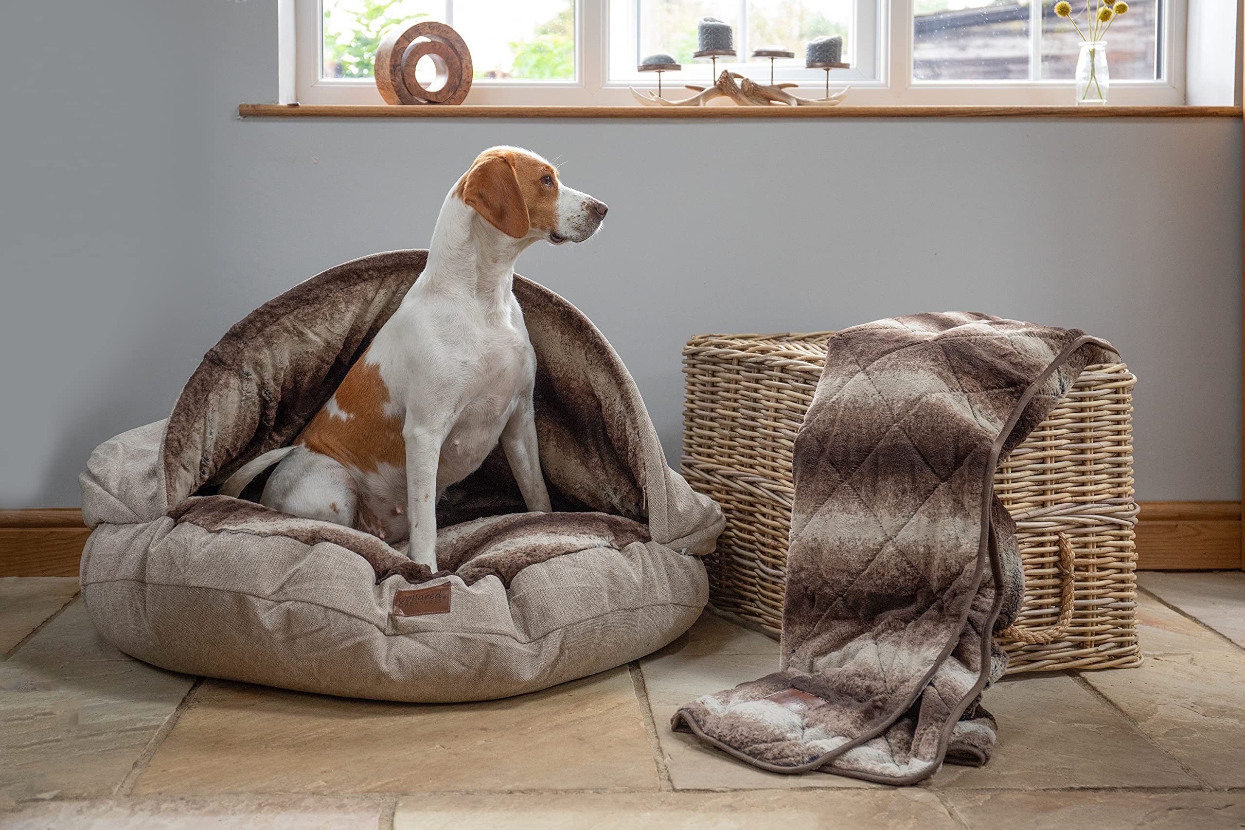 Collared Creatures Luxury Dog Cave Bed, Dog Bed, Small 65cm (25") Beige With Removable Firm Hood