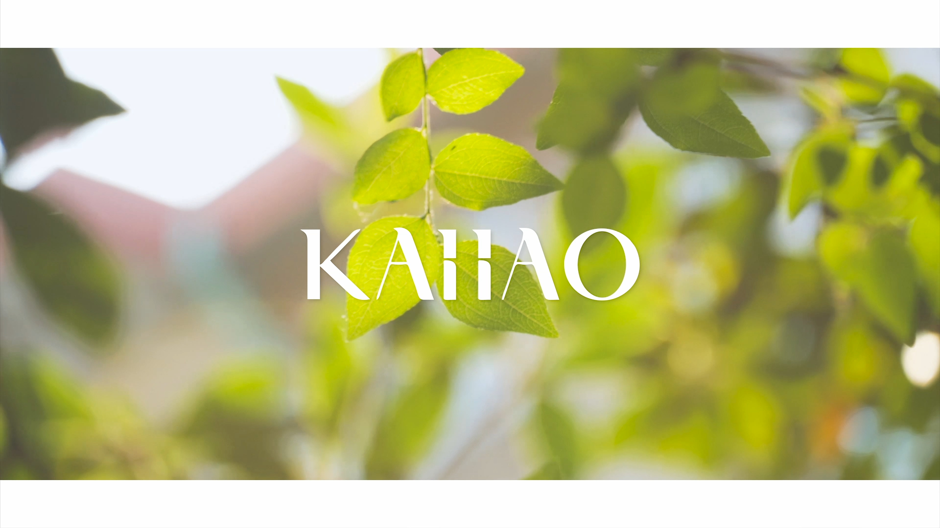 Amazon.co.jp: KAIIAO メモリーフォームハイブリッドマットレス
