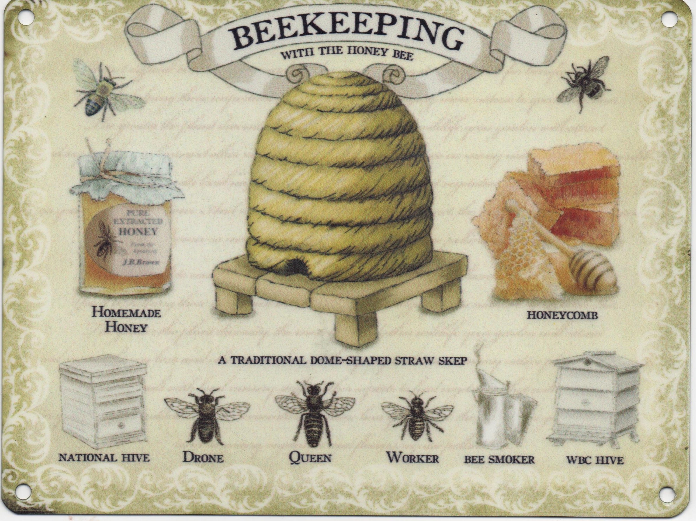 Peiyeety A005 Metal Tin Sign Beekeeping Knowledge Educational Chart Vintage Decorative 12X16 Inch Retro Wall Art Plaque For Beekeeper Home Workshop Rustic Hobbyist Wall Decor