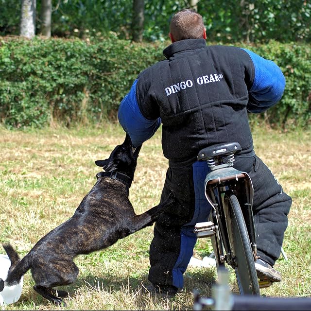 Foto 5 de 8 de Dingo Gear - Traje Completo para Entrenamiento de Perros K9 IGP de Las Fuerzas Especiales del ejército…