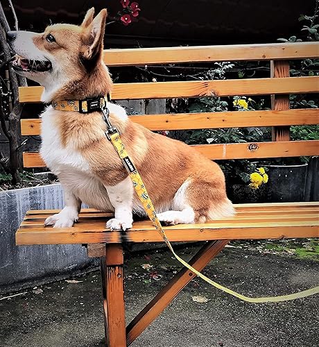 Miniatura 6 de Roses&Poetry Collar de perro con patrones de abejas coloridas, collares ajustables y duraderos para perros pequeños, medianos y grandes (abeja-S)