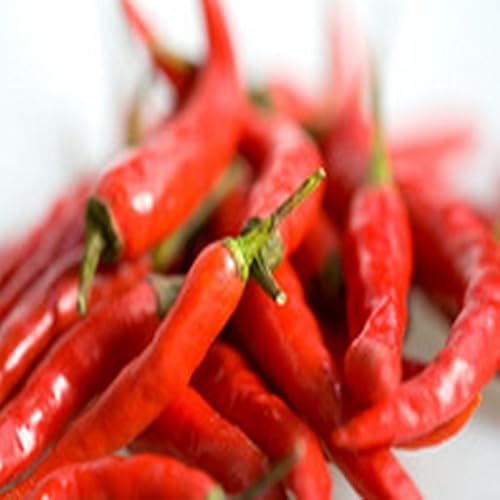 Ham and Cheese Stromboli