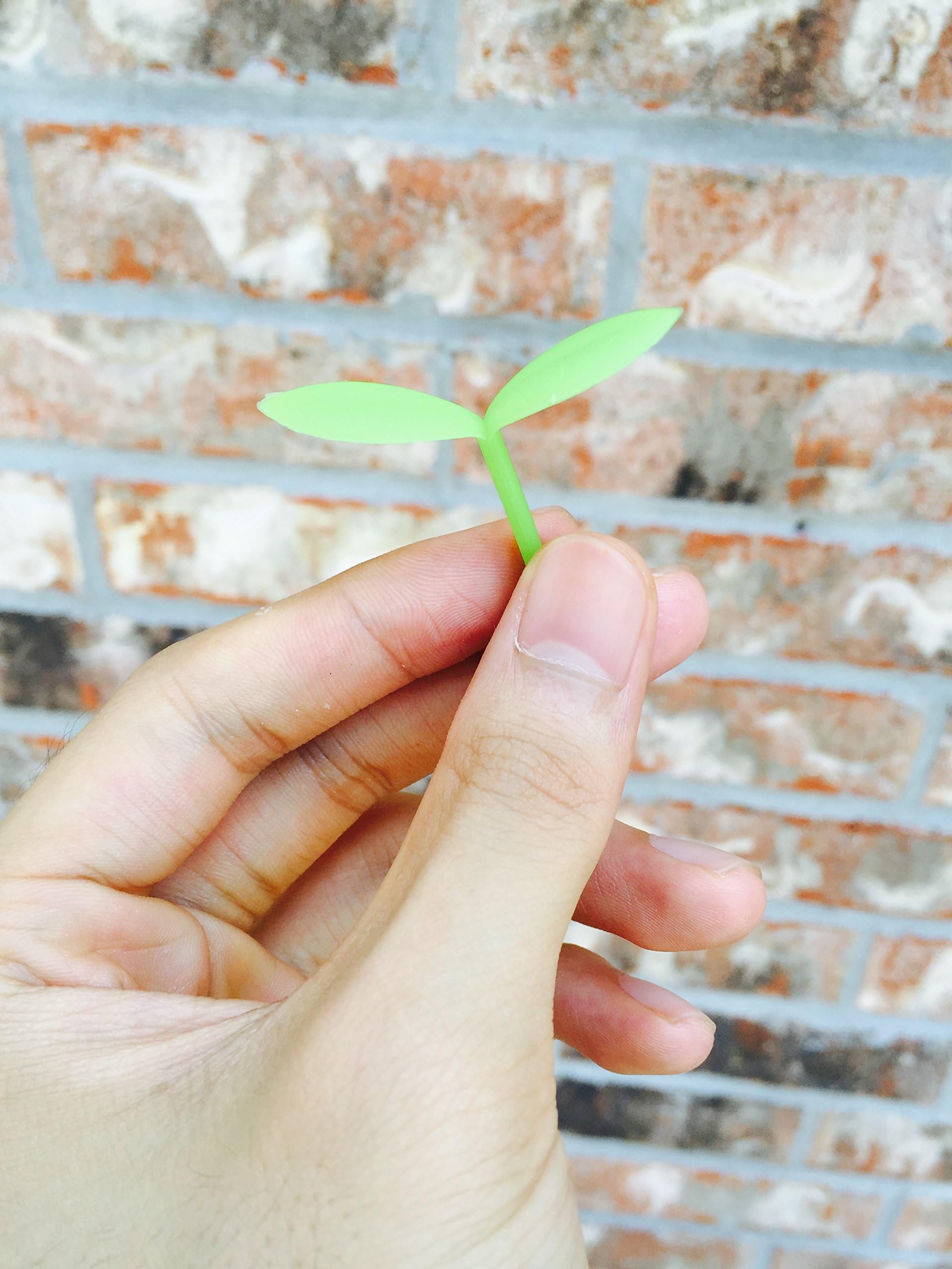 Best Value Pack: Set of 12 Bulk Unique Nature Sprout Silicone Cute Bookmarks Original Style Gift for Young Adults, Kids, Students, Men, Women and Children. Three colors: yellow, pink and green.