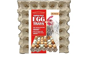 Paper Pulp Egg Trays