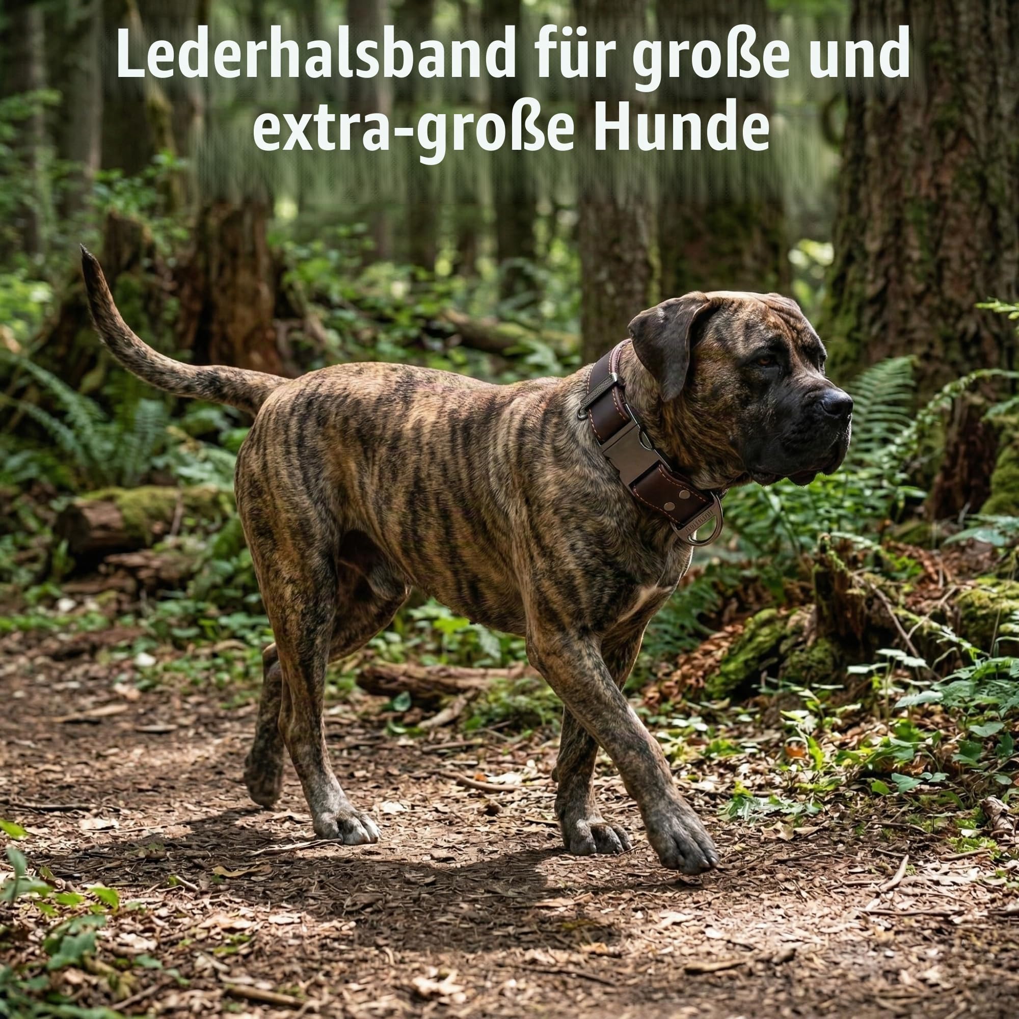 ADITYNA Hundehalsband aus Leder mit Metallschnalle, strapazierfähig, verstellbar für große und extra große Hunde, Spaziergänge und Training (Braun, passend für Halsumfang von 48,3–76,2 cm)