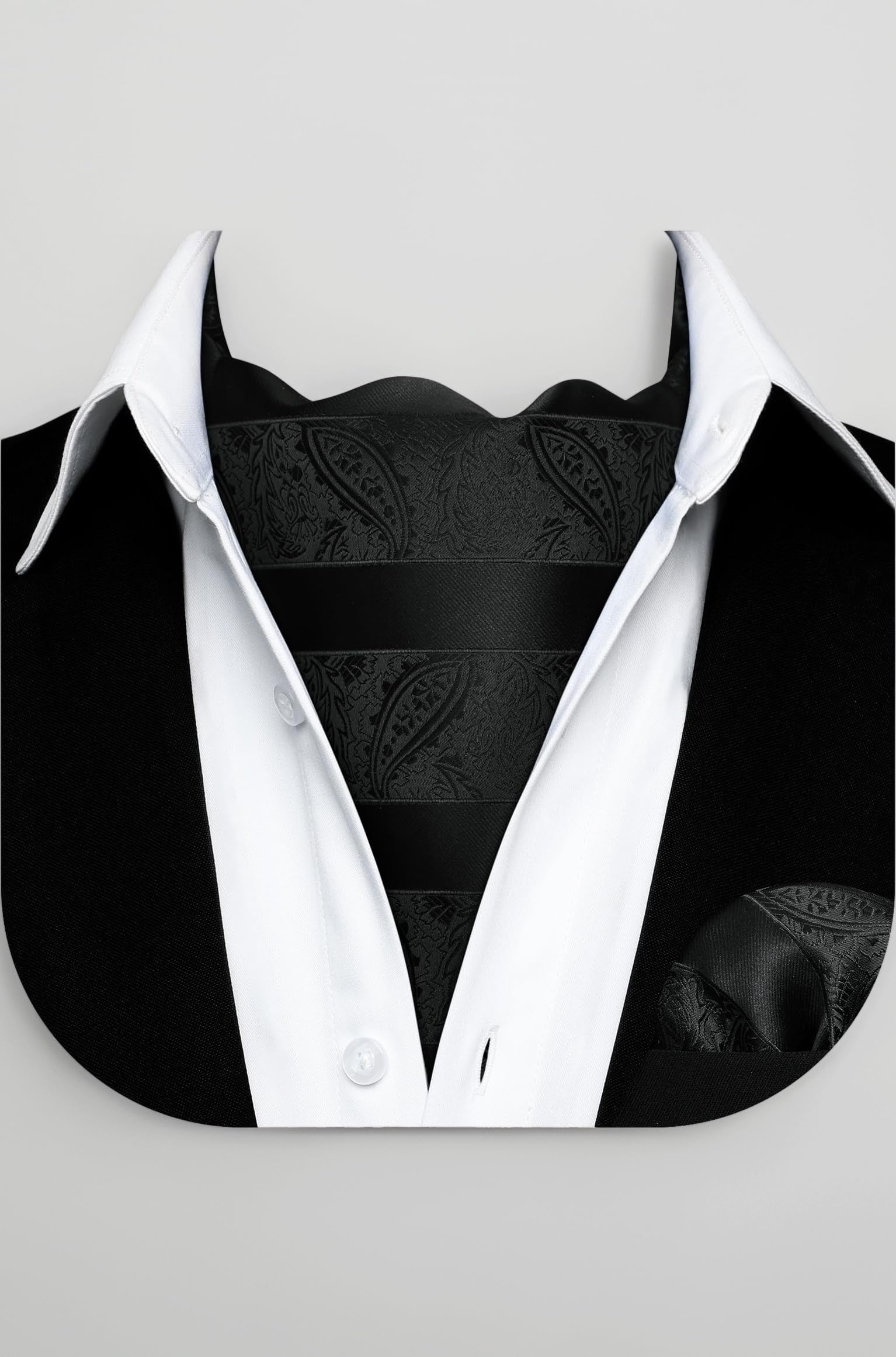 HISDERN Cravat for Men Paisley Floral Cravats Handkerchief Jacquard Wedding Ascot Tie & Pocket Square Set