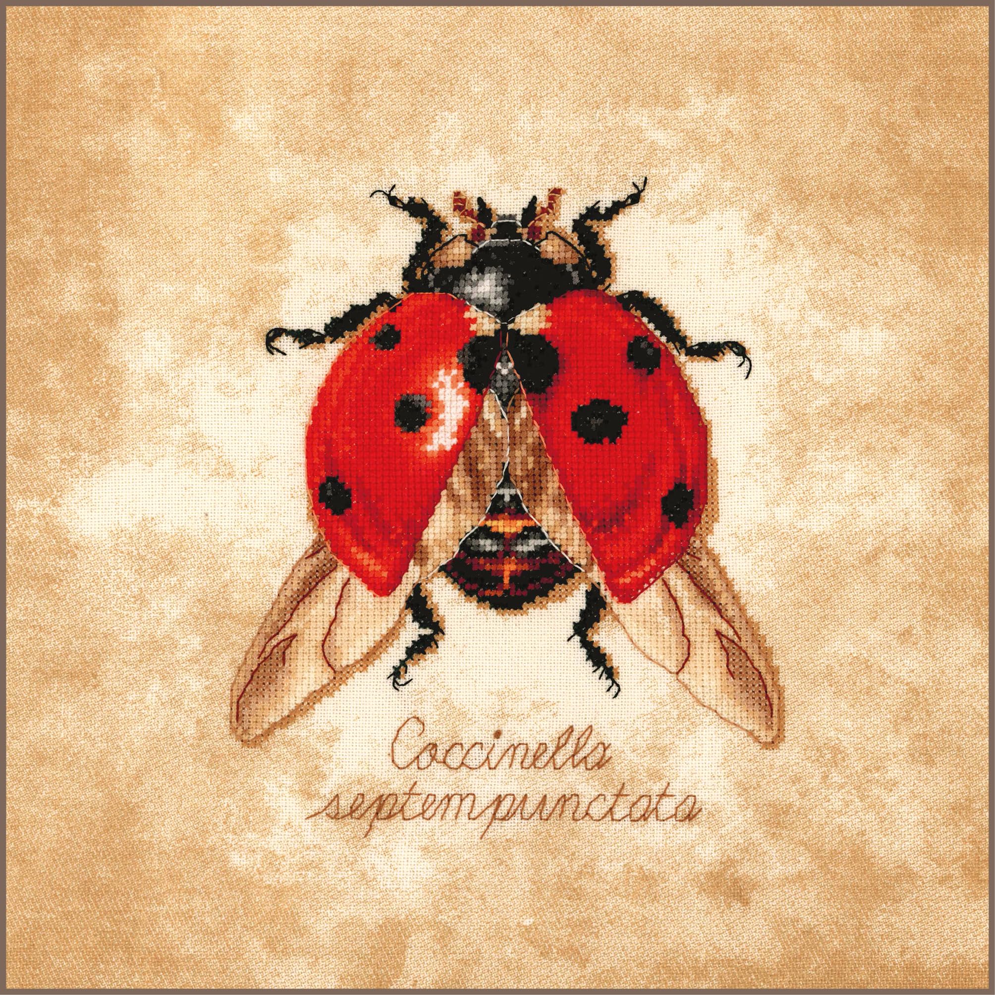 LANARTE Haft Krzyżykowy Liczony Zestaw Obraz do Haftu COCCINELLA SEPTEMPUNCTATA Zrób to Sam Zestaw Kreatywny dla Dorosłych Rękodzieło Artystyczne 21 x 21 cm Dekoracja Ścienna DIY Cross Stitch Kit