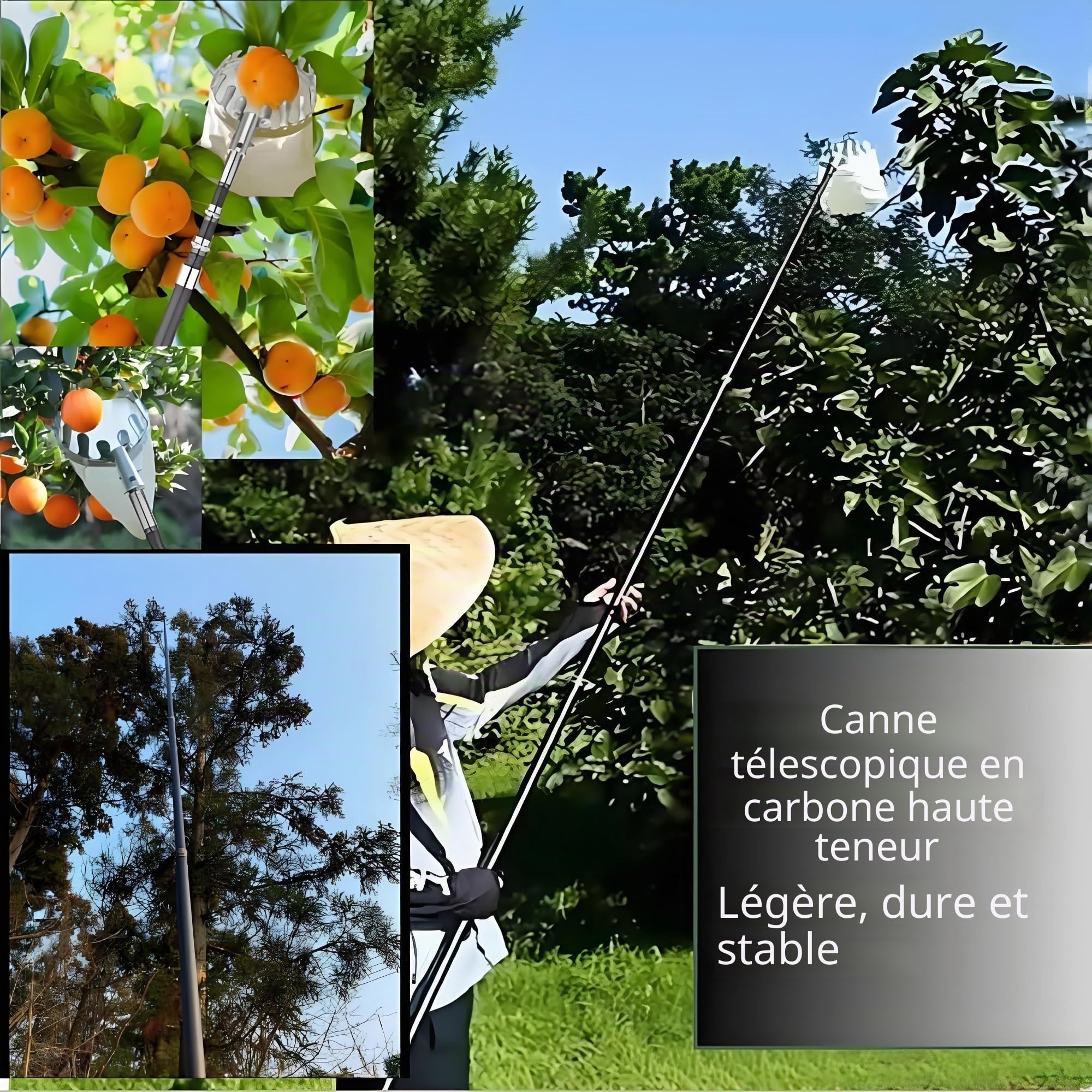 Perche télescopique pour cueillette de fruits, réglable de 2,5 m à 10 m de hauteur, tige d'extension légère, design épais pour une récolte facile des fruits