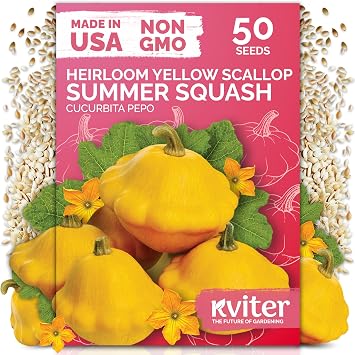 50 Patty Pan Yellow Squash Heirloom Vegetable Seeds, Cucurbita Pepo