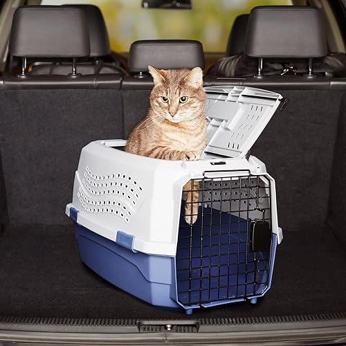 Amazon Basics Hard-Sided Cat Carrier, Two-Door Top-Load Pet Dog/Cat Travel Box Carrier, Blue, 58 L x 38 W x 33 H cm - 14