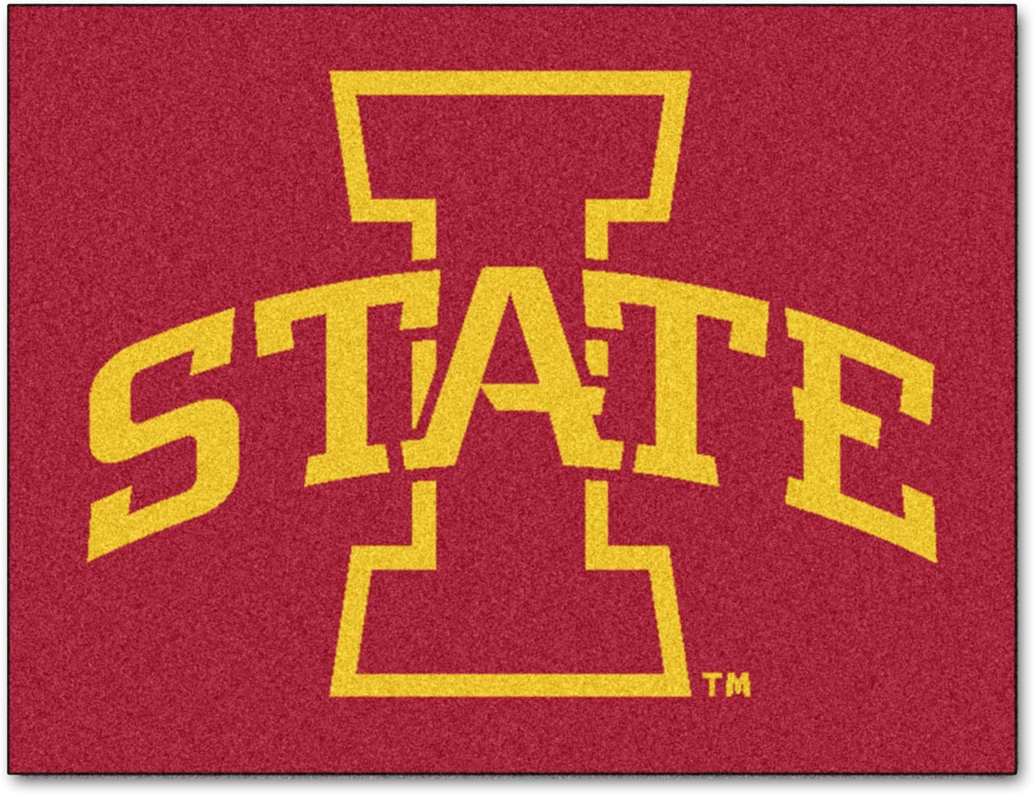 FANMATS NCAA Minnesota State Univ Mankato Mavericks Nylon Face Starter Rug Fan Shop Home