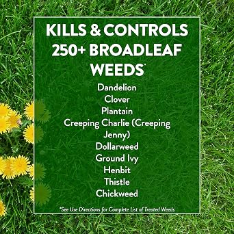 GreenView Weed and Feed 39 lb. Bag, Covers 15,000 sq. ft.