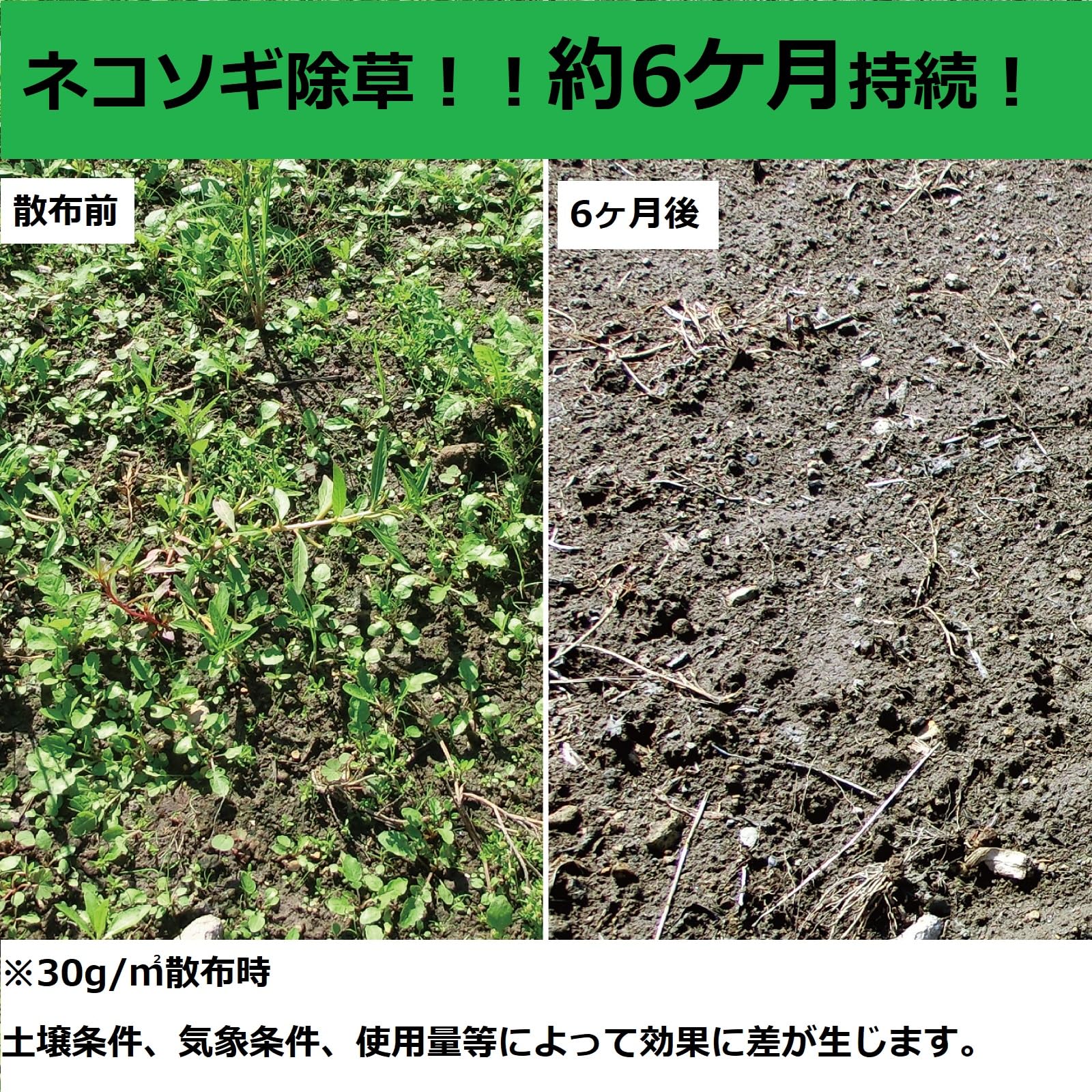 Amazon | レインボー薬品 除草剤 ネコソギトップRX粒剤 350g | 除草剤