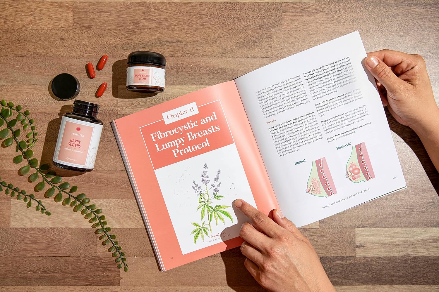 Wellena Cream by Magdalena | Supports Estrogen Balance, Lymphatic System, & More! | 1.7 oz