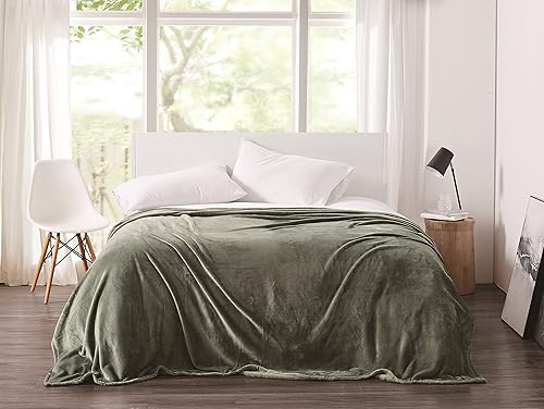 Cannon Manta de felpa sólida verde matrimonialqueen