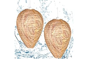 DECOYOL 2 Pack Wasp Nest Decoy Waterproof