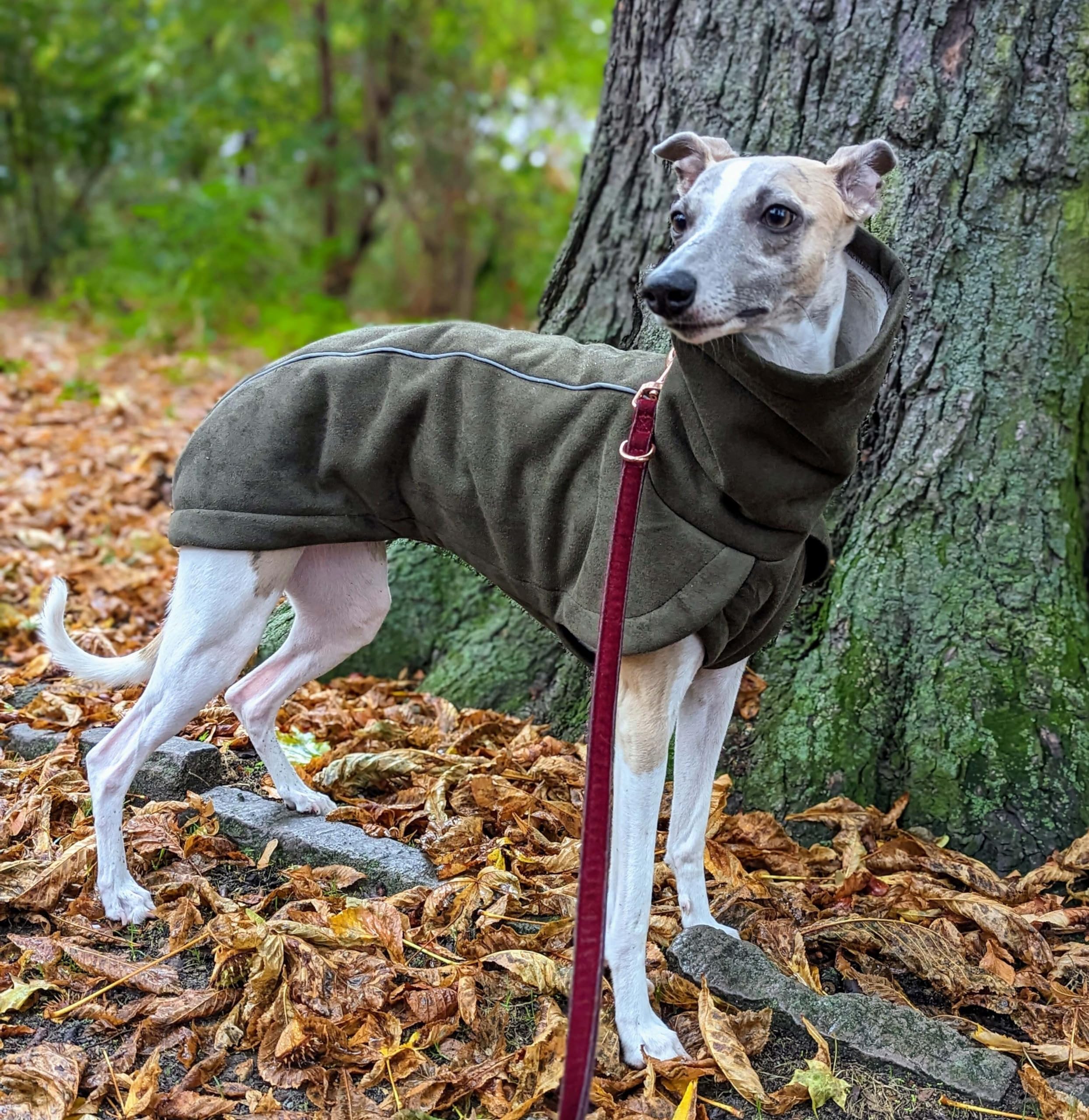 EDEL&SCHNELL Hundemantel kleine Hunde 40 bis 45 cm luxuriöse Hundejacke in grün mit Bauchschutz Windhund Wintermantel wärmend mit Wildleder und weichem Kunstfell