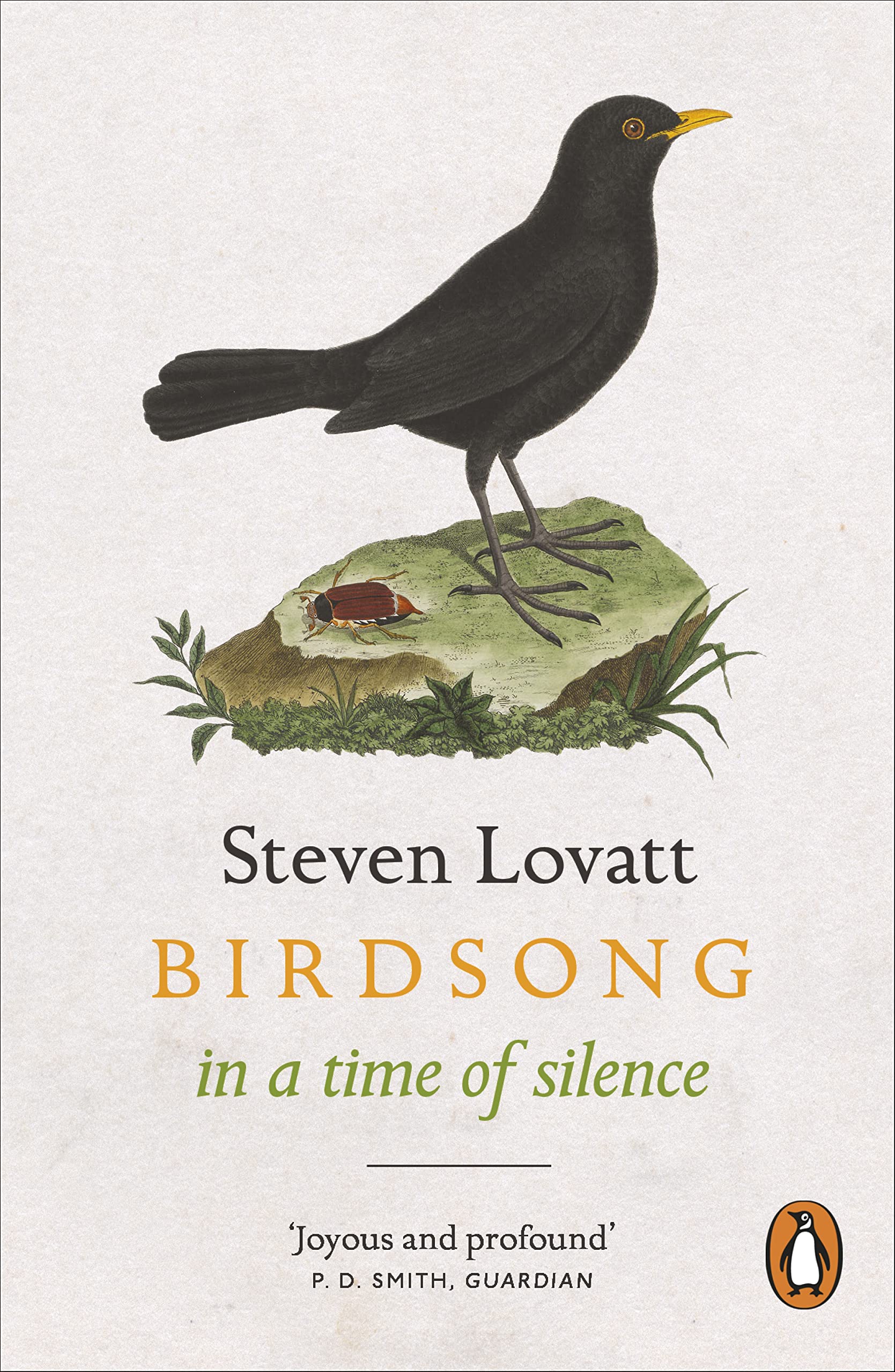 Birdsong in a Time of Silence by Steven Lovatt (Paperback Book)