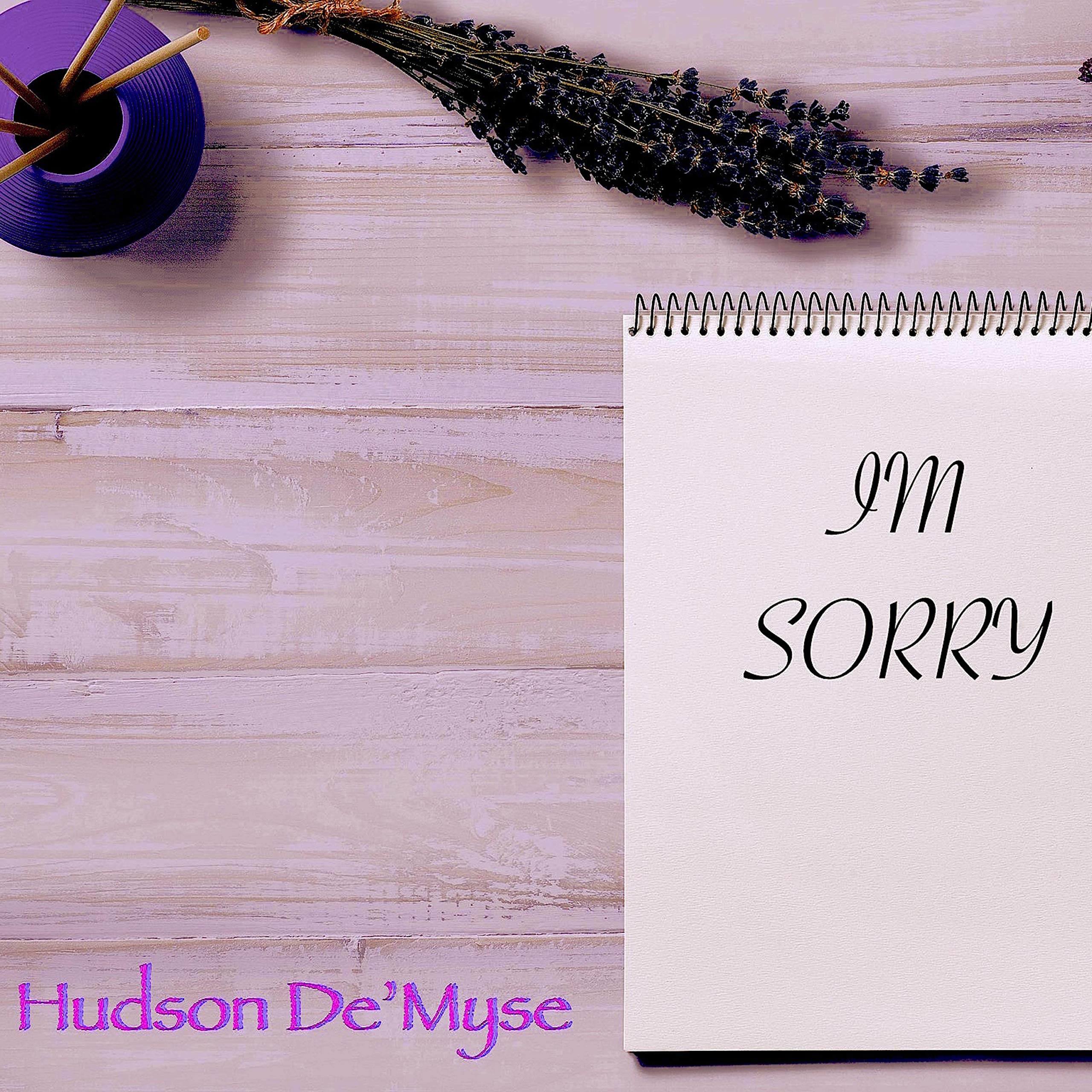 The Suicide of Emily Anderson [Explicit]