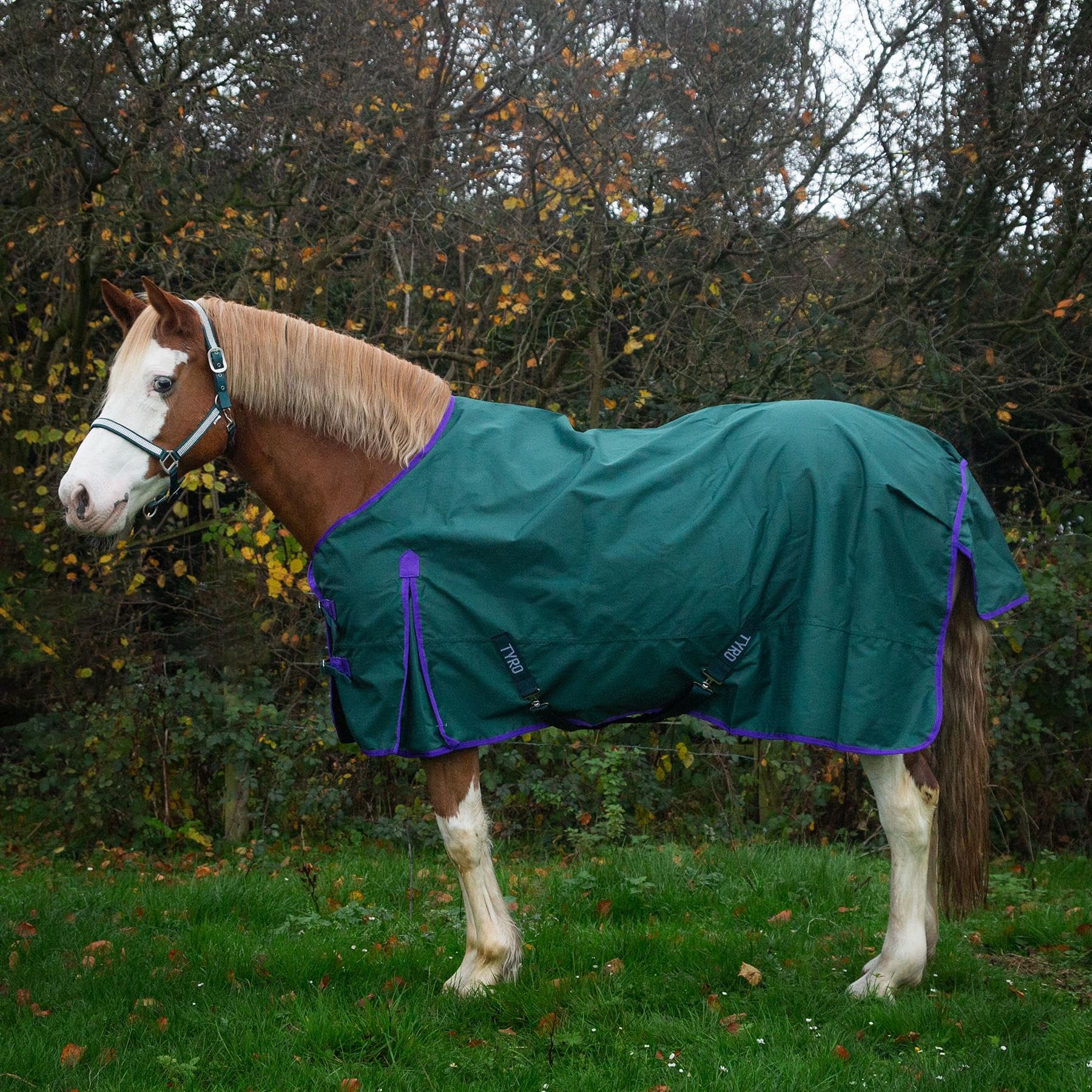 Tyro 50 Lightweight Turnout Rug, 600D Ripstop Waterproof Horse Rug with 50g Fill, Detachable Leg Straps, Tail Cover, Shoulder Pleat, Crossed Surcingles (Green, 6ft 9)