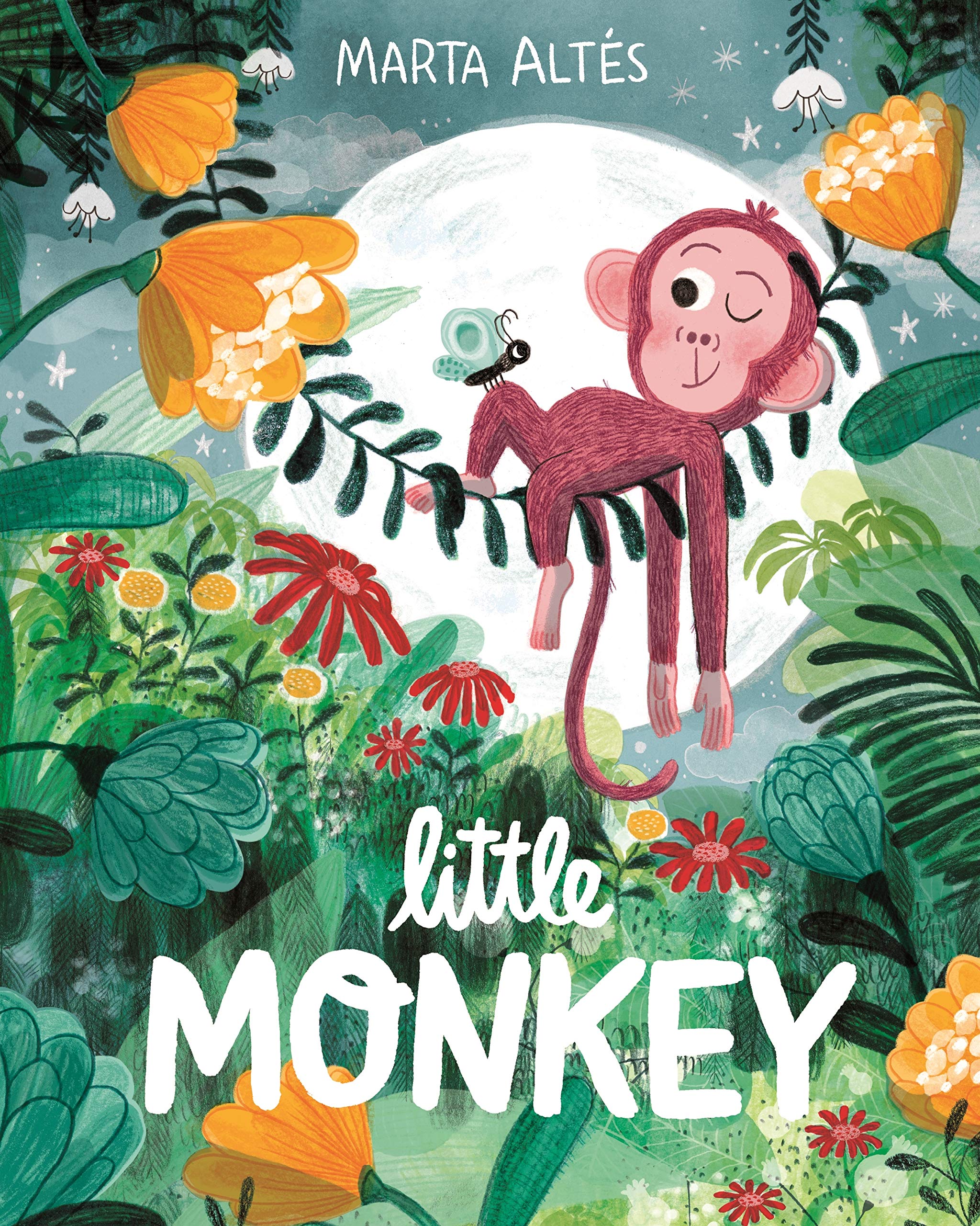 Little Monkey Paperback – 28 May 2020